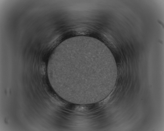 X0000091550174200709071225