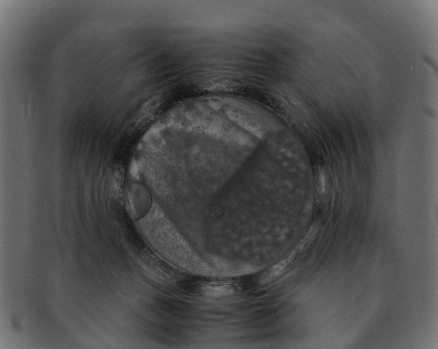 X0000091550175200709071225