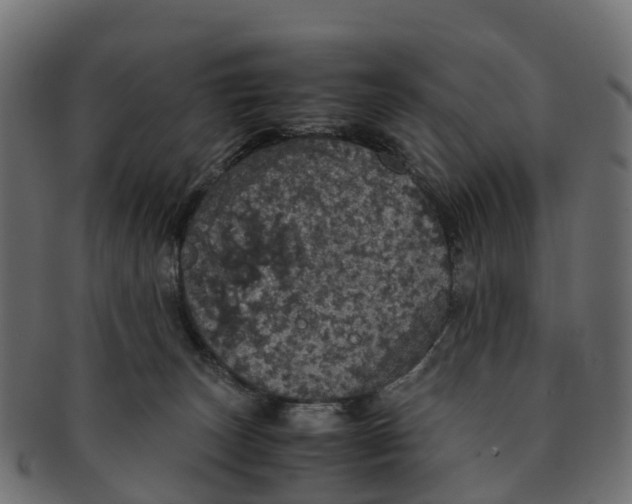 X0000091550179200709071225