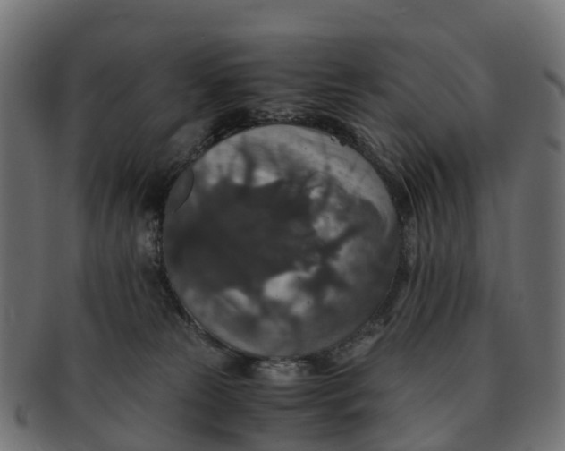 X0000091550181200709071225