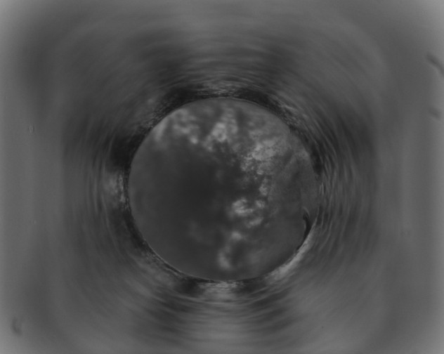 X0000091550182200709071225