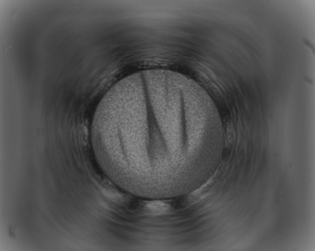 X0000091550183200709071225