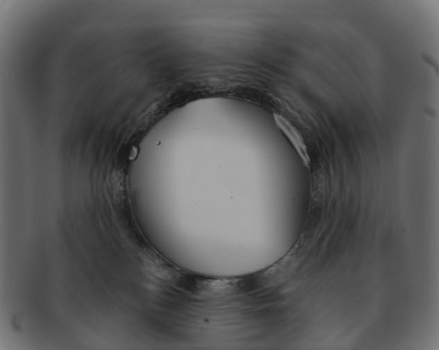 X0000091550184200709071225