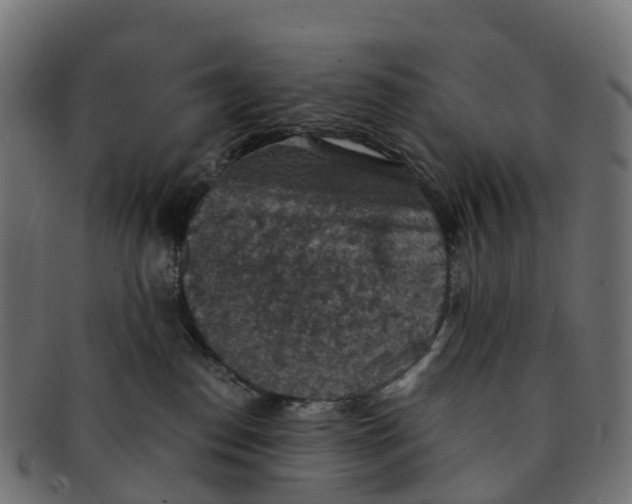 X0000091550186200709071225