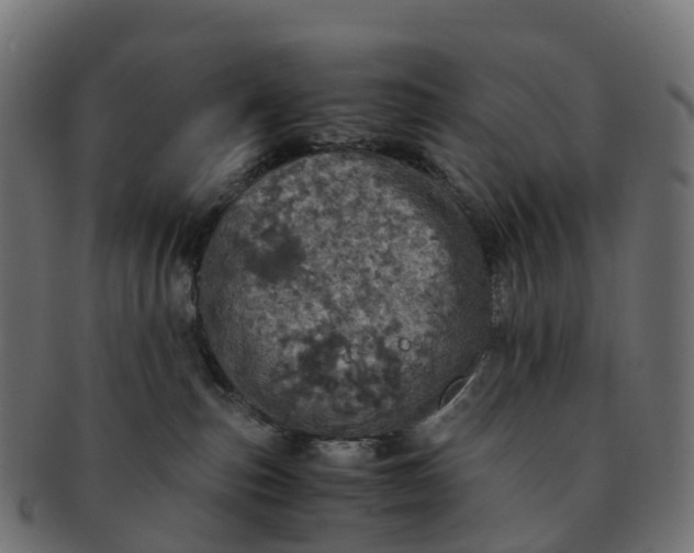 X0000091550187200709071225