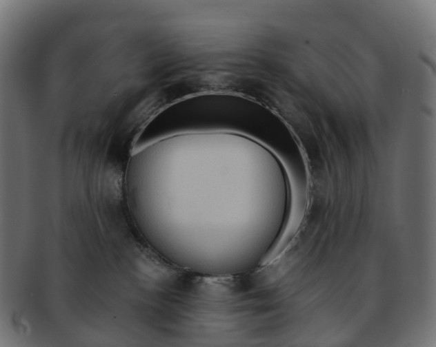 X0000091550188200709071225