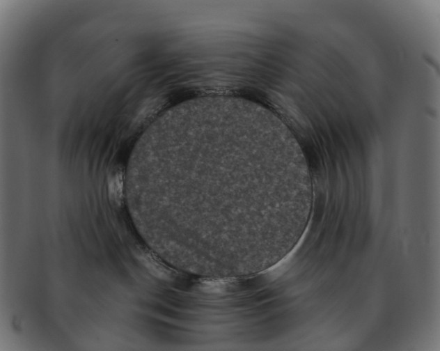 X0000091550190200709071225