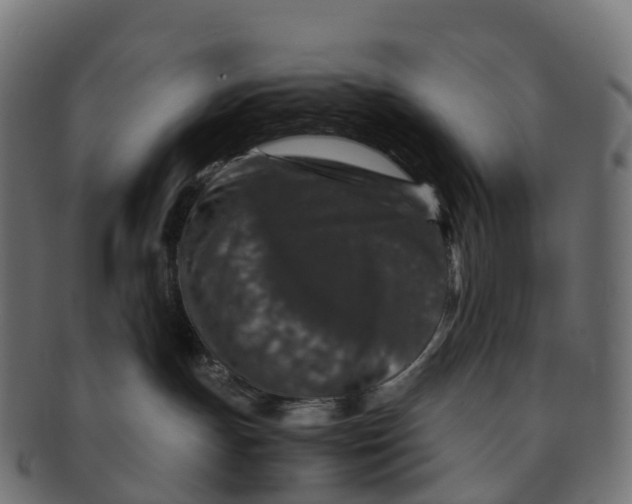 X0000091550191200709071225