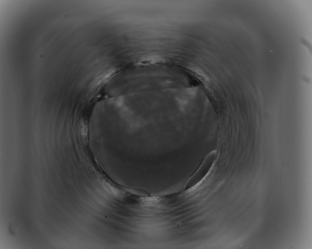 X0000091550192200709071225