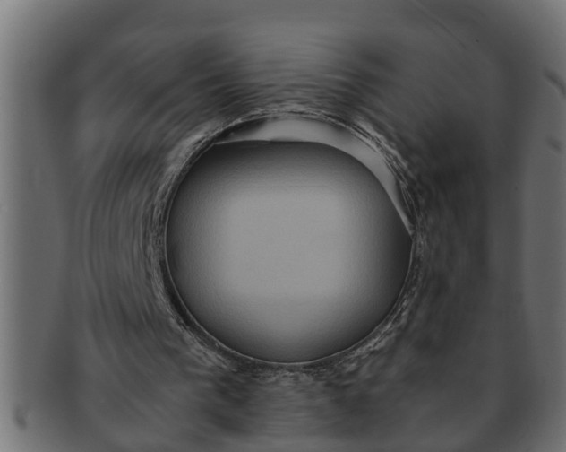 X0000091550193200709071224