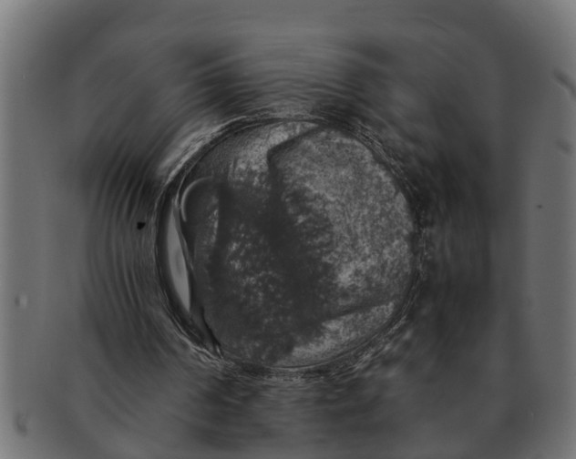 X0000091550194200709071224