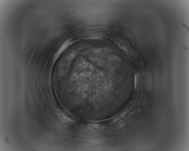 X0000091550195200709071224