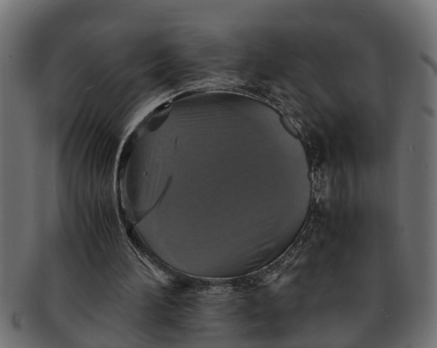 X0000091550196200709071224