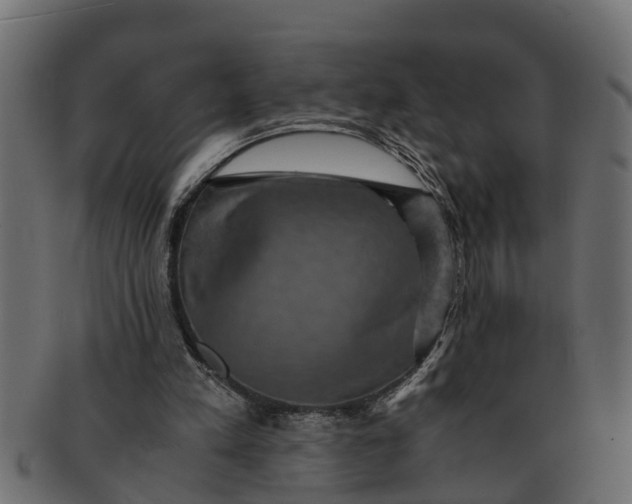 X0000091550197200709071224