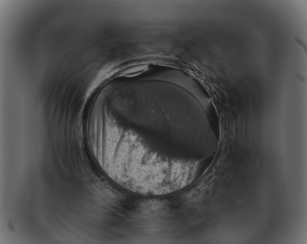 X0000091550198200709071224