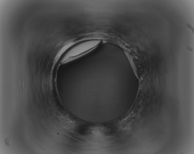 X0000091550200200709071224
