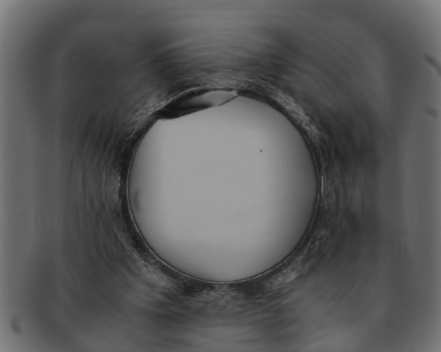 X0000091550201200709071224