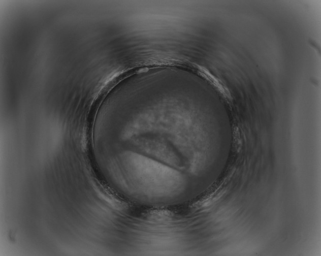 X0000091550203200709071224