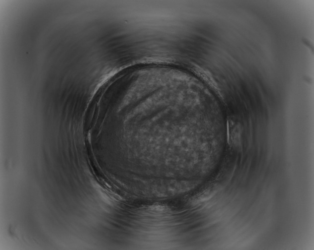 X0000091550204200709071224