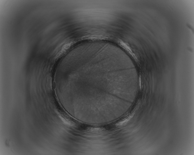 X0000091550205200709071224