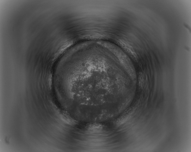 X0000091550206200709071224