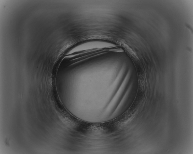 X0000091550207200709071224