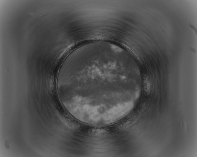 X0000091550208200709071224