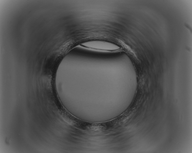 X0000091550209200709071224