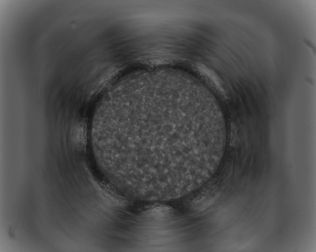 X0000091550210200709071224