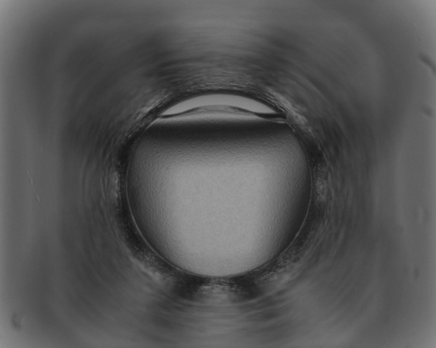 X0000091550211200709071224