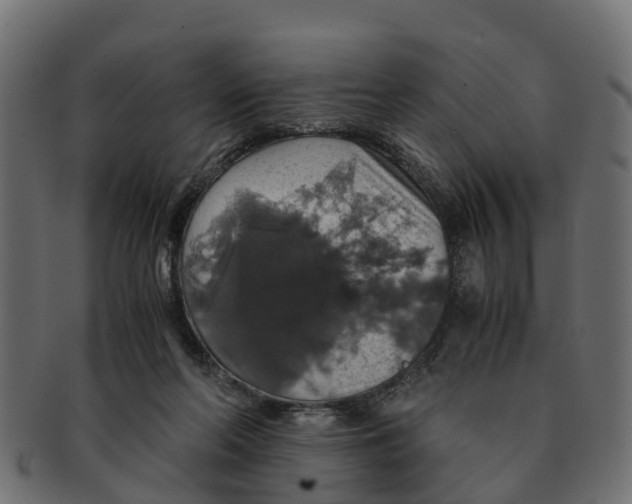 X0000091550214200709071224