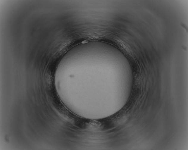X0000091550215200709071224