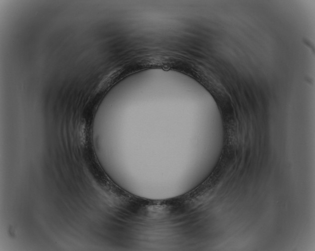 X0000091550216200709071224