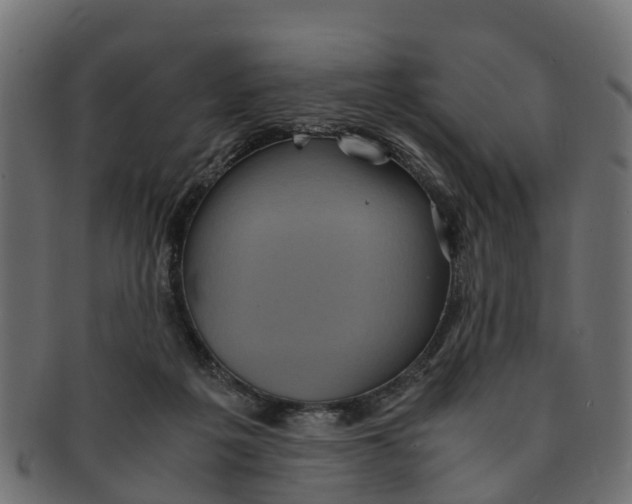 X0000091550217200709071224