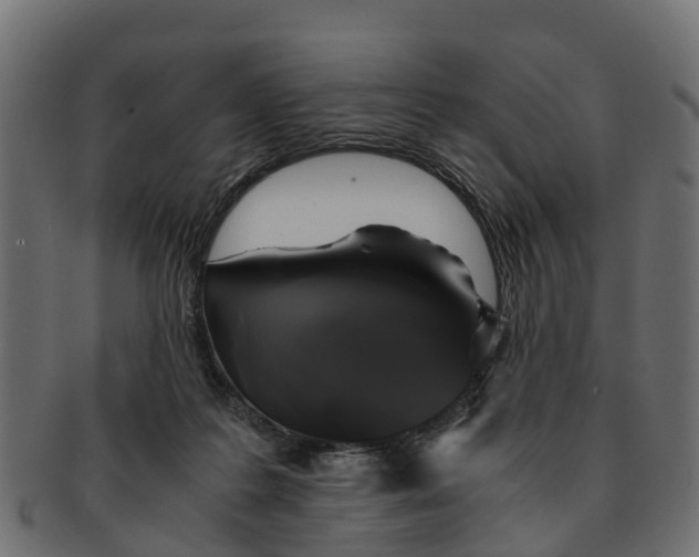 X0000091550219200709071224