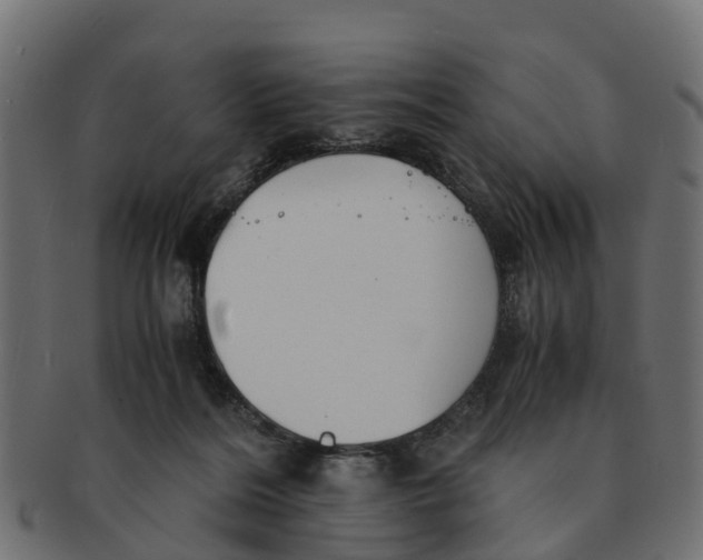 X0000091550220200709071224