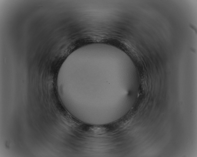 X0000091550221200709071224