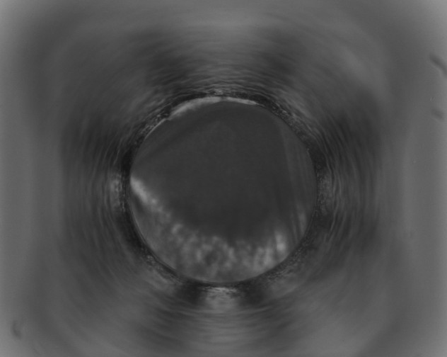 X0000091550222200709071224