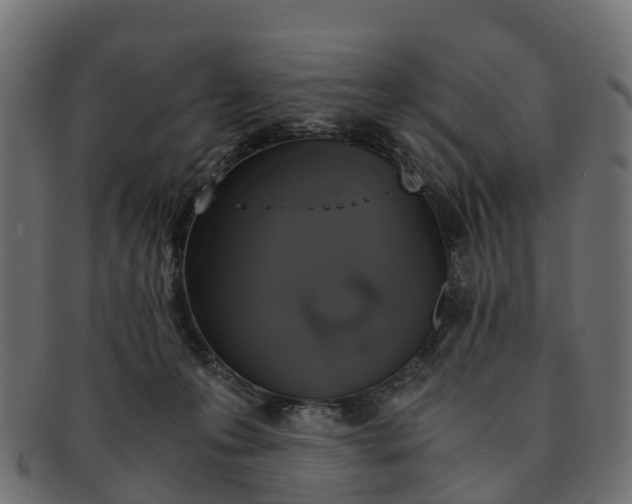 X0000091550223200709071224