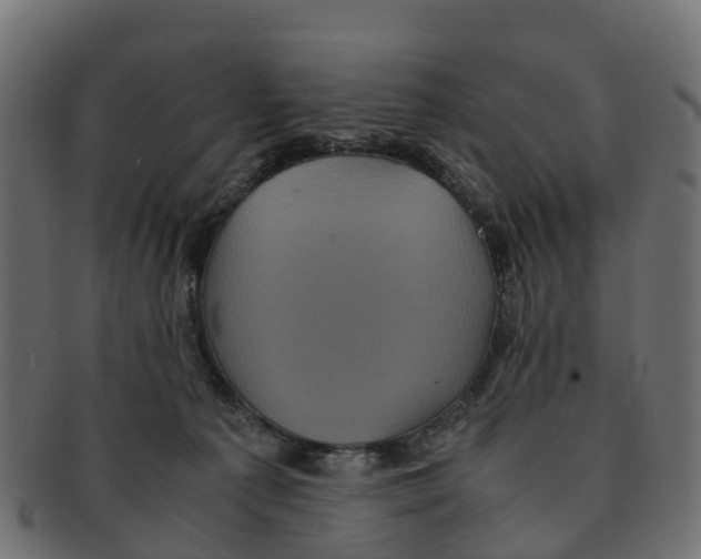 X0000091550225200709071224