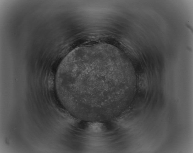X0000091550226200709071224