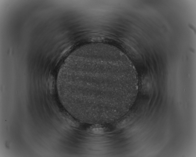 X0000091550228200709071224