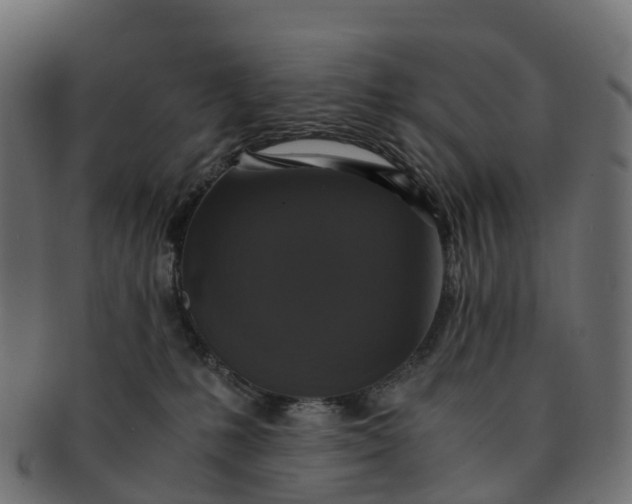 X0000091550231200709071224