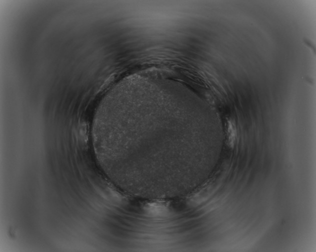 X0000091550232200709071224