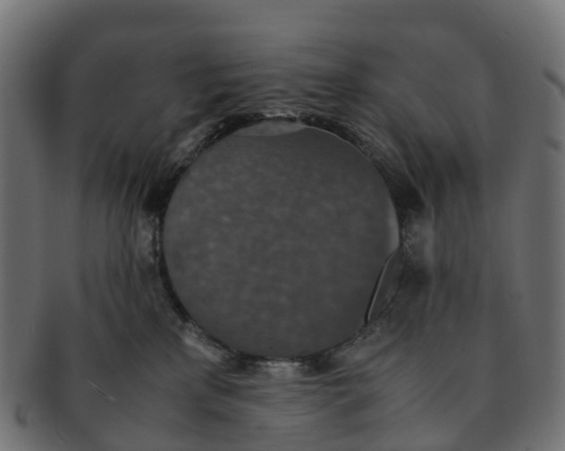 X0000091550233200709071224