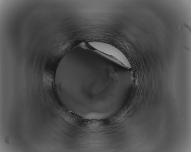 X0000091550235200709071224