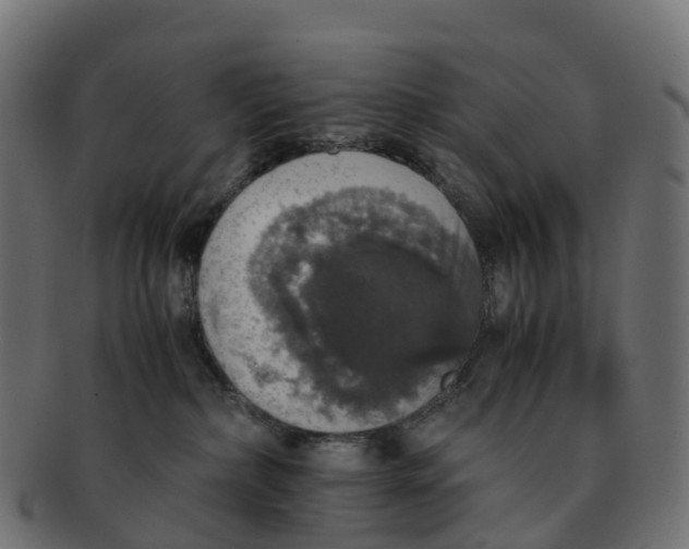 X0000091550236200709071224