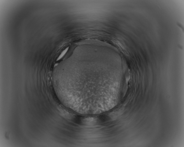 X0000091550237200709071224