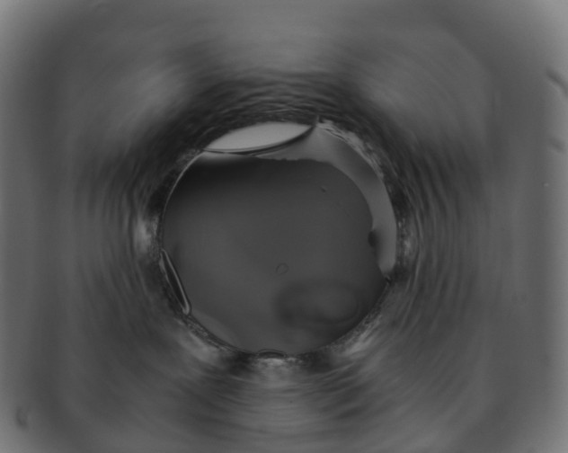 X0000091550239200709071224
