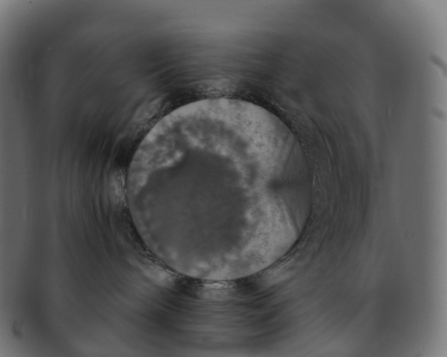X0000091550240200709071224